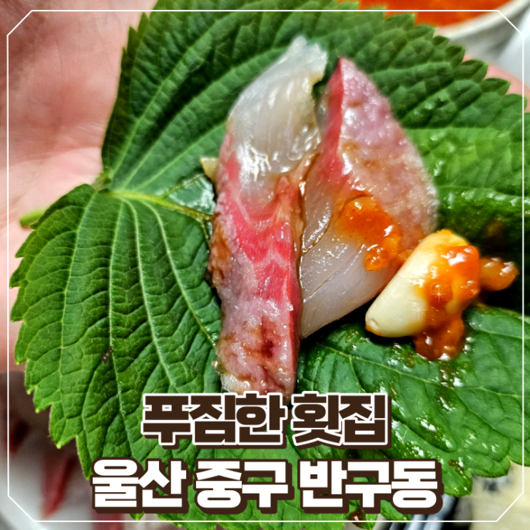[울산/중구]울산 물회 맛집 푸짐한 횟집 방문포장 후기