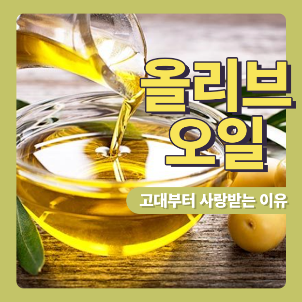  건강 식품인 올리브오일이 고대부터 사랑받는 이유