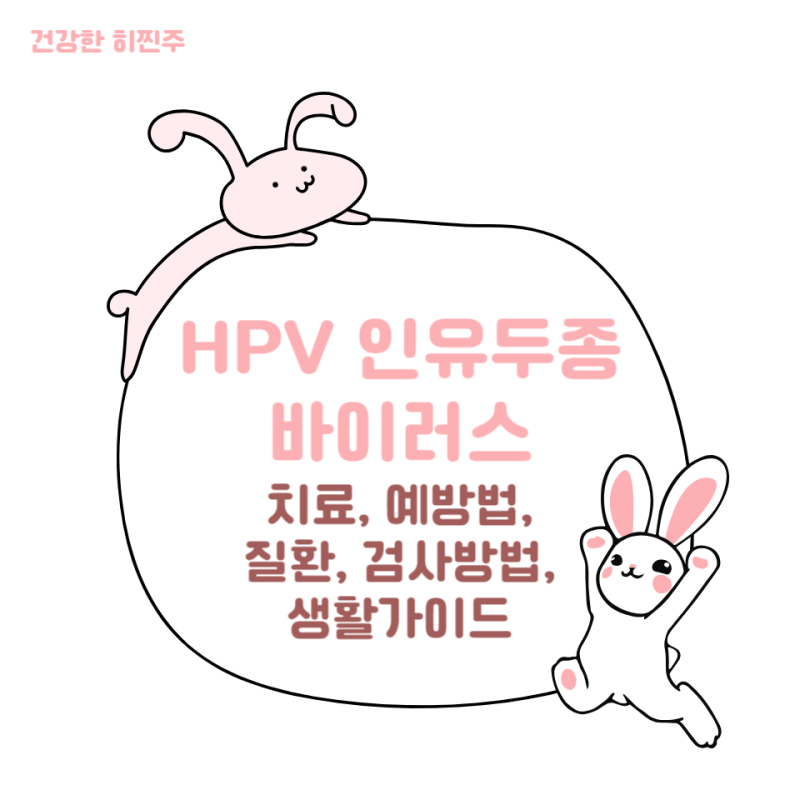 HPV 바이러스 고위험군 저위험군 인유두종 바이러스 치료 완치 검사 방법 예방법