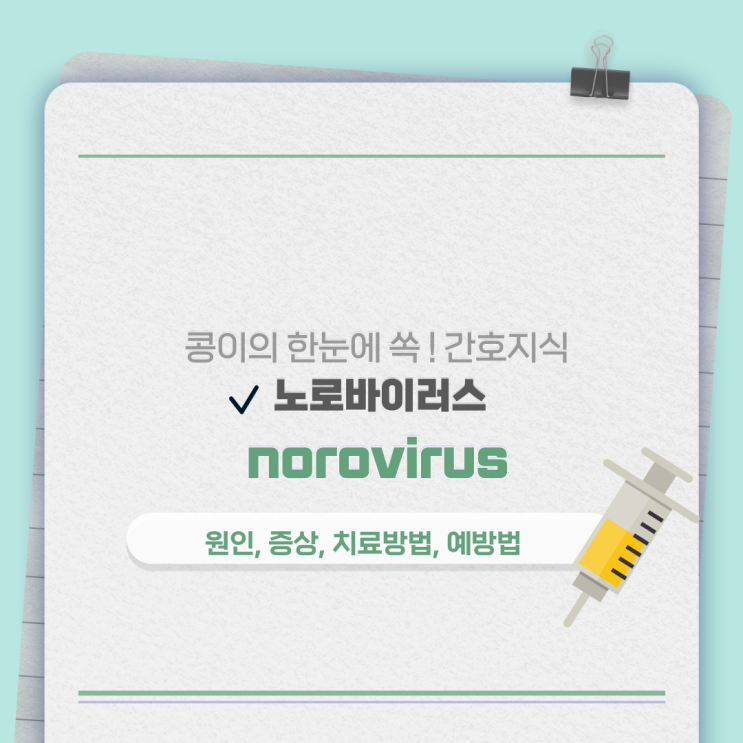  노로바이러스의 모든 것 : 원인, 증상, 예방법, 치료, 잠복기 등