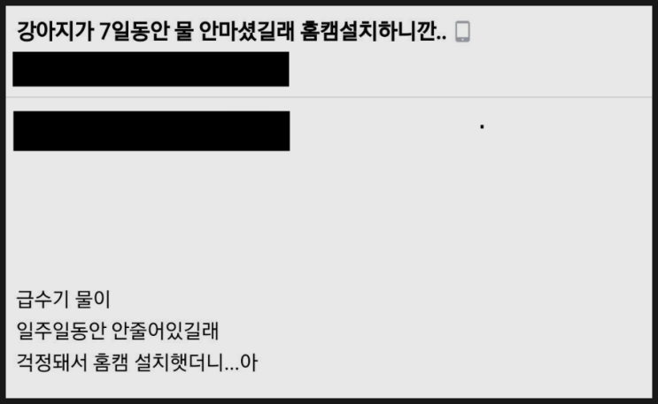 강아지가 7일동안 물을 안마시길래 홈캠 설치하니 강아지가 7일동안 물을 안마시길래 홈캠 설치하니