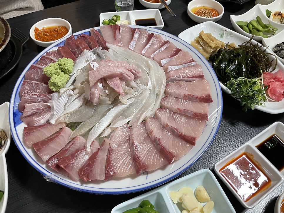 바다애 사진 6