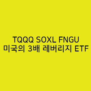  TQQQ SOXL FNGU,미국의 3배 레버리지 ETF 투자조언