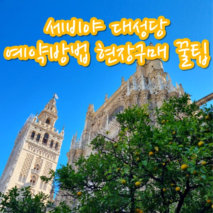  세비야 대성당 예약 방법 무료 입장 현장 구매 꿀팁 살바도르성당 통합권