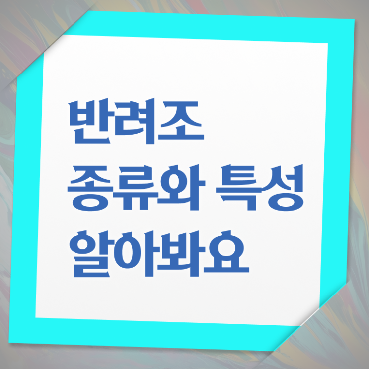  반려조관리사 자격증 취득방법 여기서 확인하세요 !!! 한국자격검정원