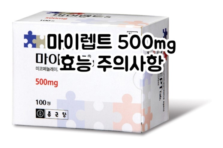  마이렙트 정 500mg 미코페놀레이트 Mycophenolate 에 대해 알아보자!(효능 용법 부작용 주의사항 임부 수유부)