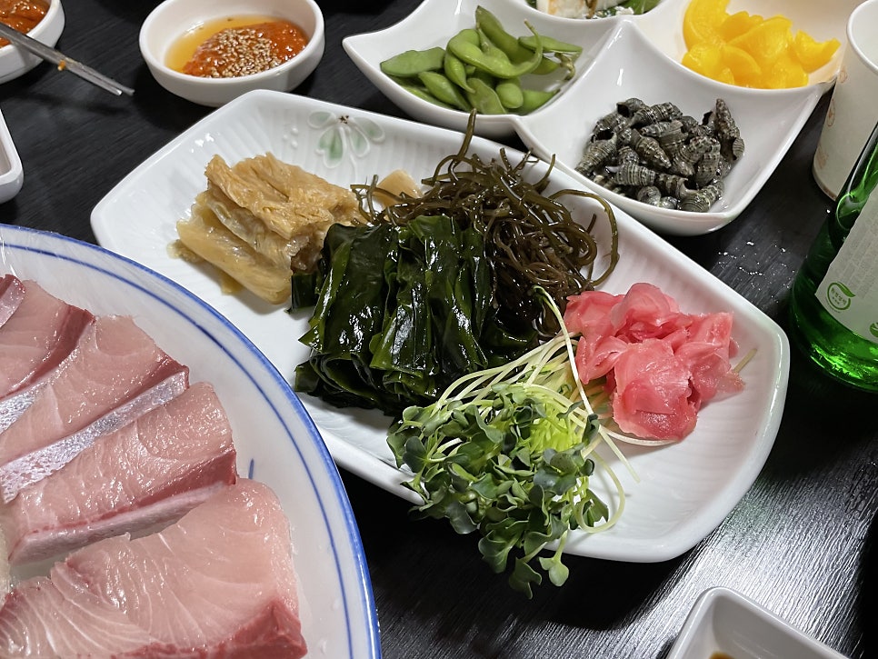 바다애 사진 5