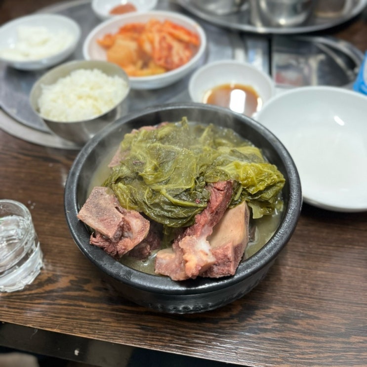  DDP 맛집 대화정진짜해장국 진짜 맛있는 노포 최자로드 동대문 해장국