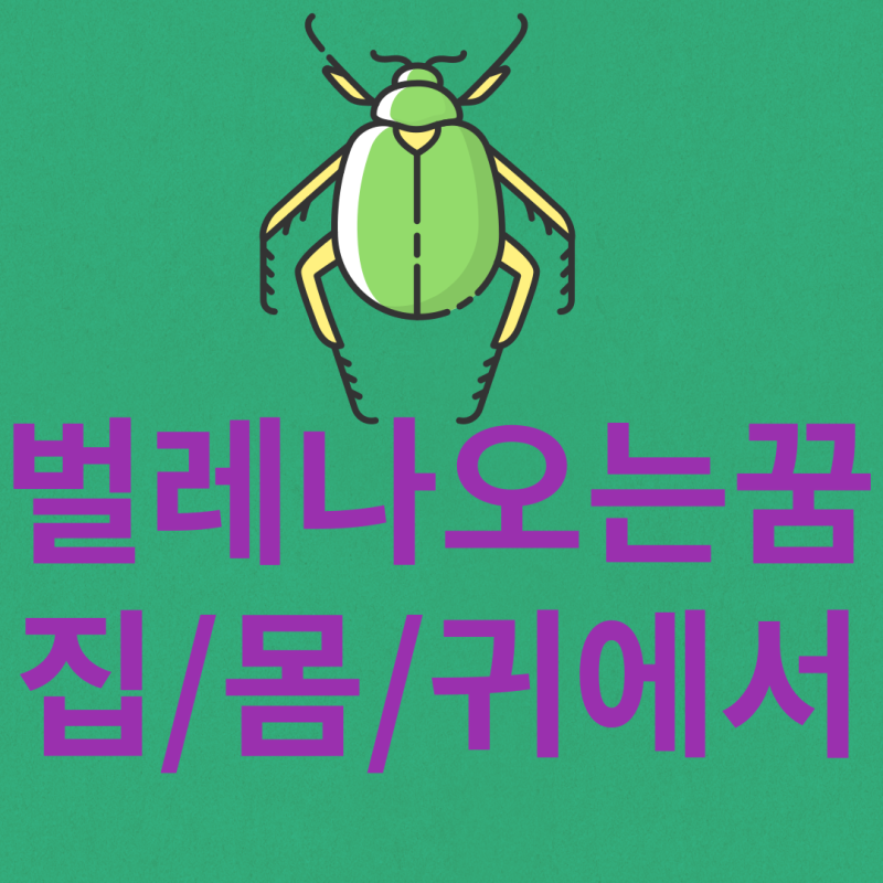 벌레나 오는 꿈해몽:곤충이 우리에게 속삭이는 이야기