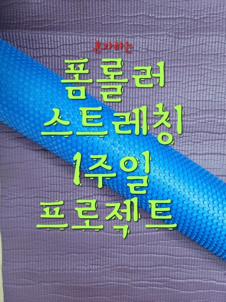  6일차-인증