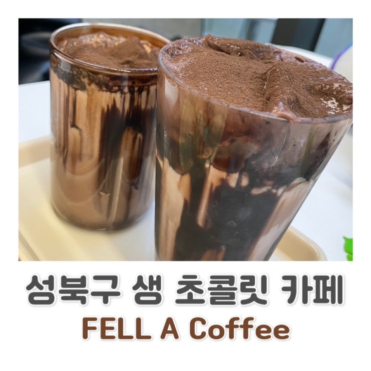  [성북구카페 / 성신여대 카페] 수제 생초콜릿 카페 / 초콜릿 음료 전문점 FELL A 펠어커피️