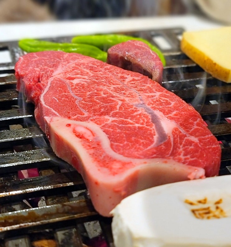  [청담동 맛집/백송 청담점] 가족모임 하기 좋은 강남 한우맛집