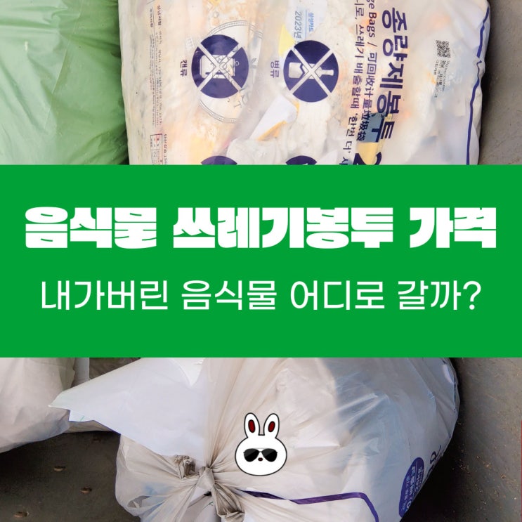  음식물 쓰레기봉투 가격 (내가 버린 음식물 쓰레기 어디로 갈까요?)