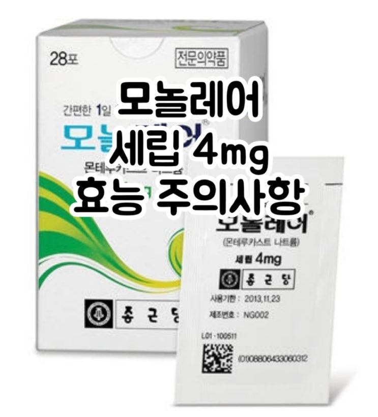  모놀레어 세립 4mg 몬테루카스트 Montelukast 에 대해 알아보자!(효능 용법 부작용 주의사항 임부 수유부)