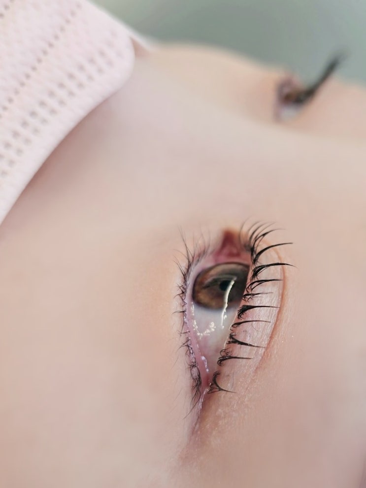  [안산/원곡동] 재방문하고 싶은  원곡동 속눈썹펌 자연스럽게 예뻐지는 '피치네일'