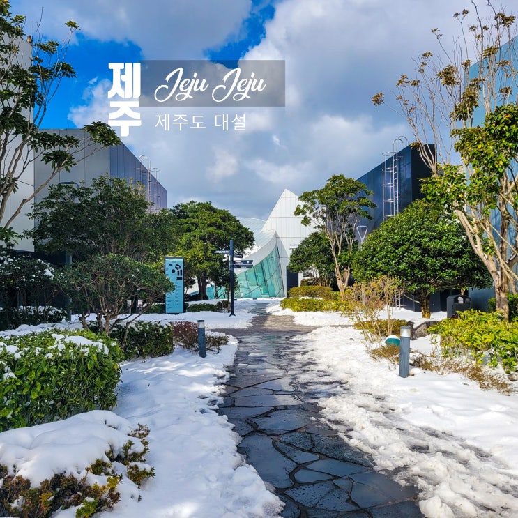<b>제주</b>도 날씨 <b>제주</b> 대설특보 <b>강풍</b> 비행기 결항(with 서귀포 날씨)