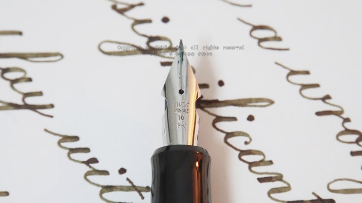  To play without passion is inexcusable. (Beethoven, Copperplate script, Pilot 912 FA nib)