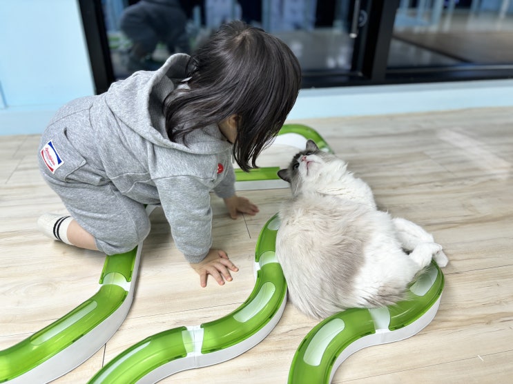  밤잠 없는 19개월 아기와 고양이 있는 김포 심야 카페 솔빈마루 방문 후기