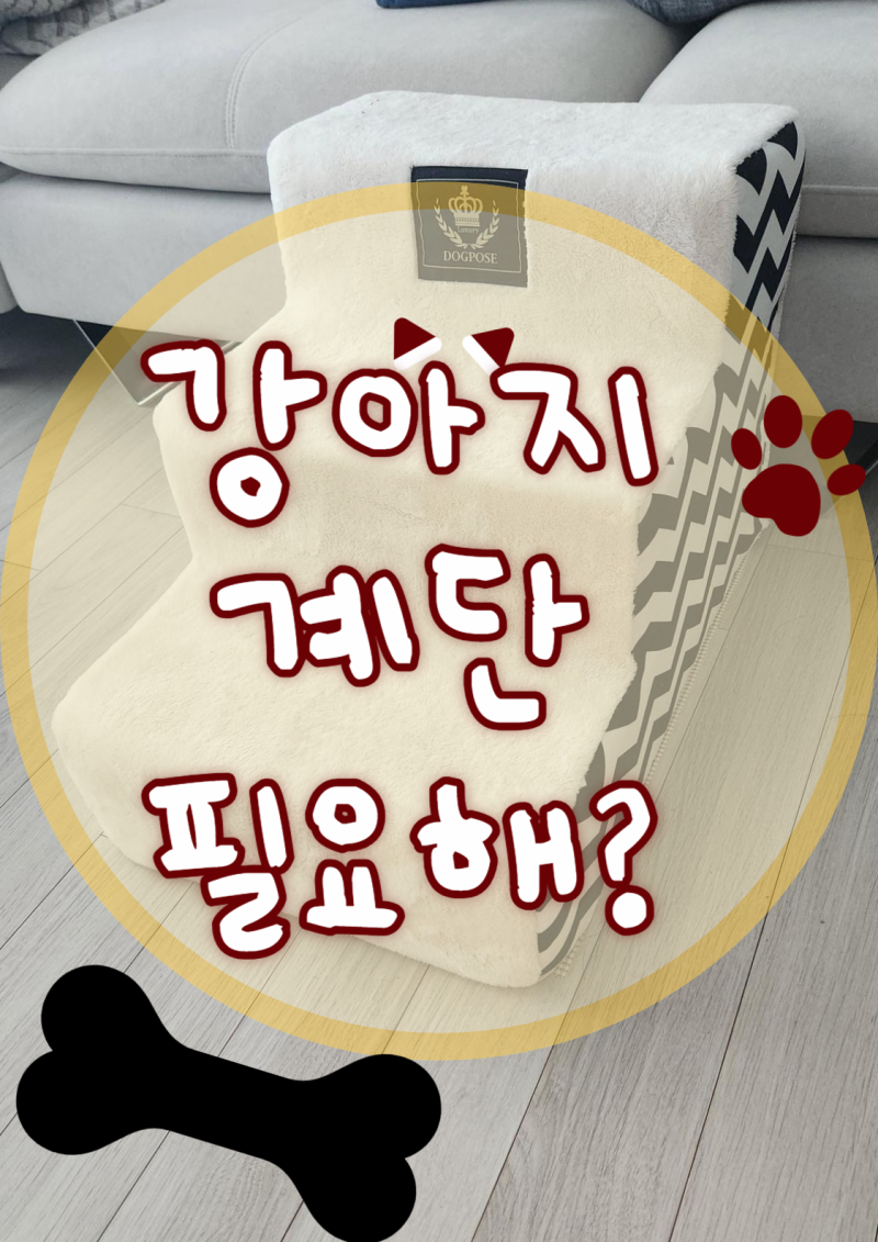 [강아지 계단 만들기] 슬개골 탈구견 예방을위해서(다이소템으로 저렴하게 만드는 방법)