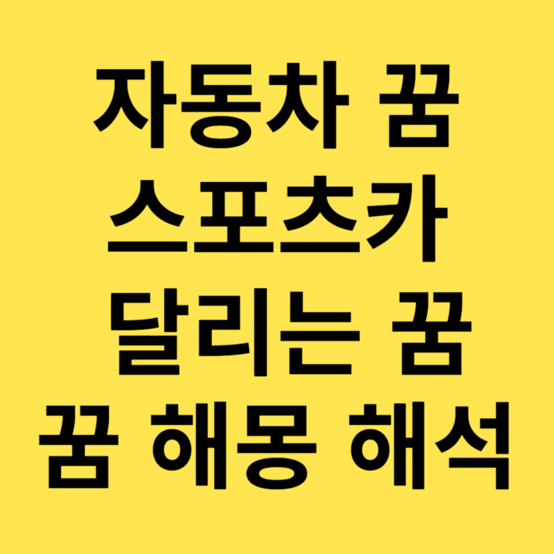 자동차 타는 꿈 /스포츠카 / 차 사고 / 운행중인 운전 꿈 해몽 해석