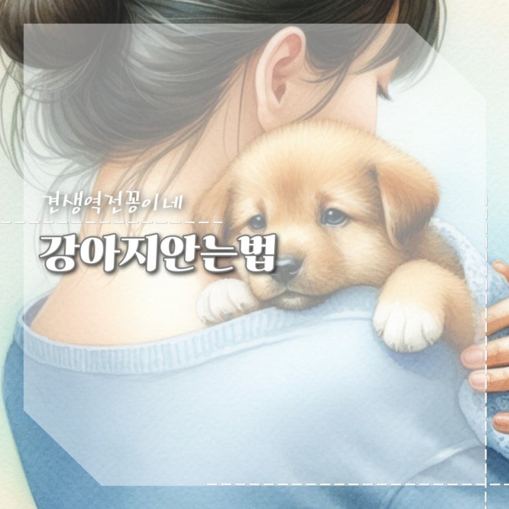  강아지 올바르게 안는법  주의점 어부바는?