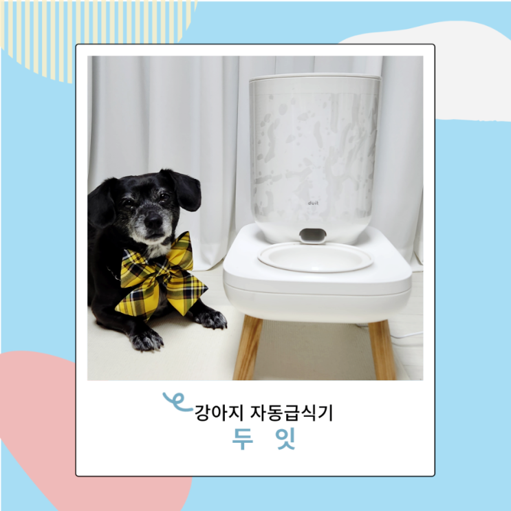 강아지 고양이 자동급식기 두잇 더테이블플러스 스마트해 강아지 고양이 자동급식기 두잇 더테이블플러스 스마트해