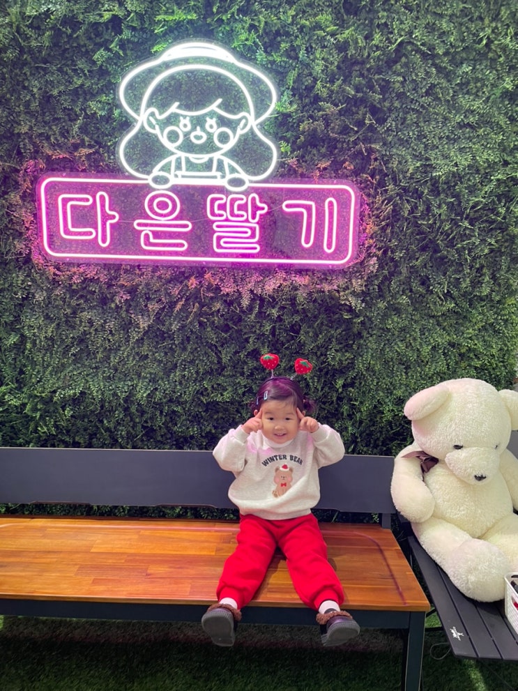  진주 다은딸기, 딸기따기체험과 놀이시설 이용까지 한번에 즐겨요