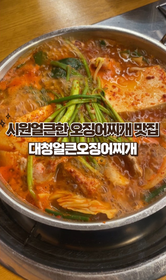 대전 신탄진/대청댐 맛집 대천얼큰오징어찌개_오징어가 살살 녹아요