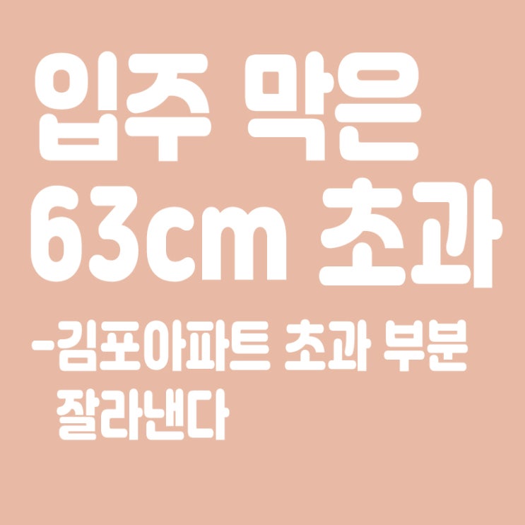  ‘입주 막은 63’…김포 아파트, 초과 부분 잘라낸다