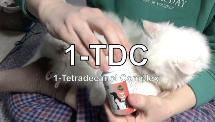 1-TDC 듀얼 액션 내추럴 서포트 for 고양이 구내염 관절 영양제. 강아지(개) 구강 잇몸 관절 피부 개선. 경찰견·어질리티 챔피언 복용