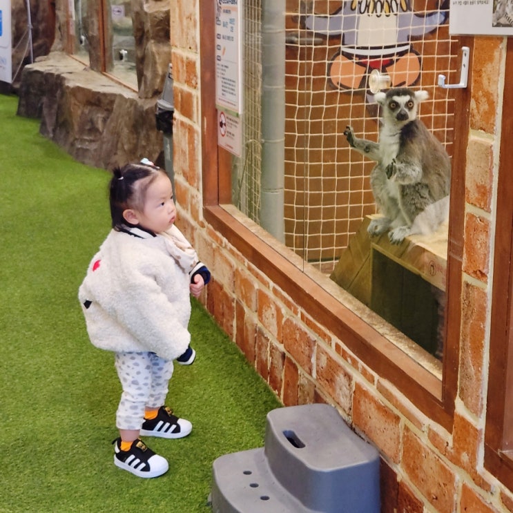  울산 캐니언파크 아기랑 실내동물원 무료 먹이체험 솔직후기