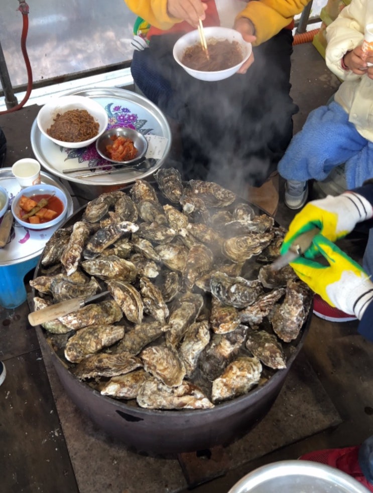  전남 장흥 경화네 굴구이, 반려견 동반가능한 식당, 장흥 굴구이 맛집, 애견동반