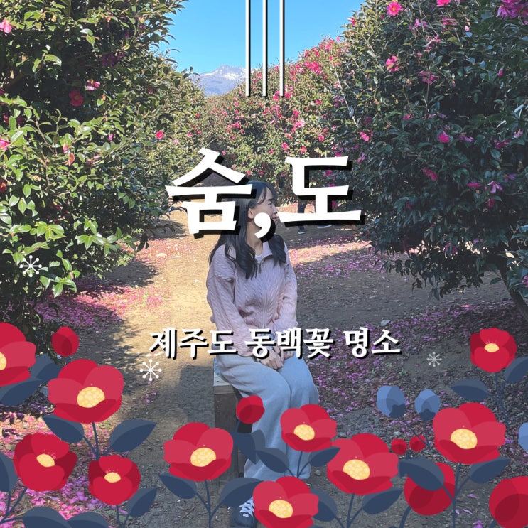  [제주]숨은 사진 명소 숨도 - 동백꽃, 감귤밭, 숨도 카페