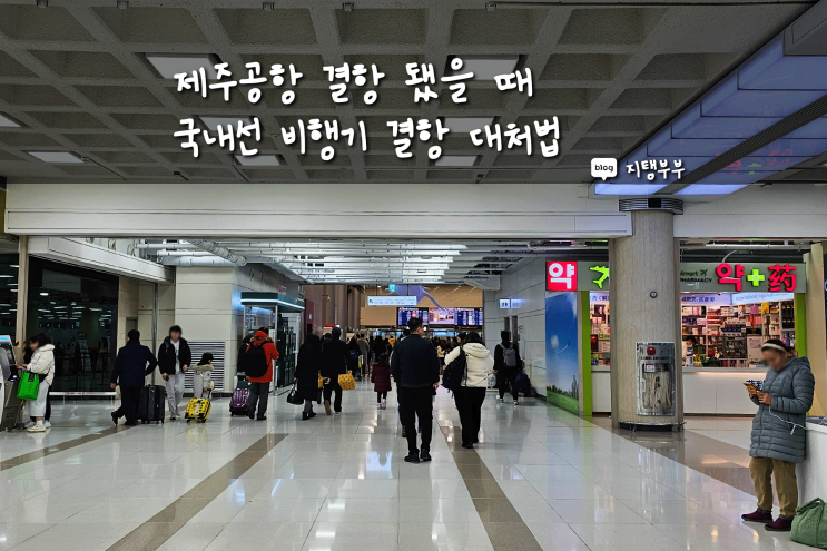  제주공항 결항시 대처법 국내선 비행기 결항됐을 때 제주 항공편 결항 해결법