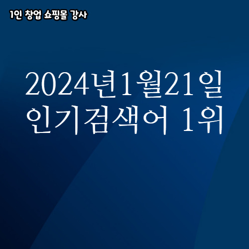  2024년 1월 21일 네이버쇼핑 분야별 인기 검색어 1위