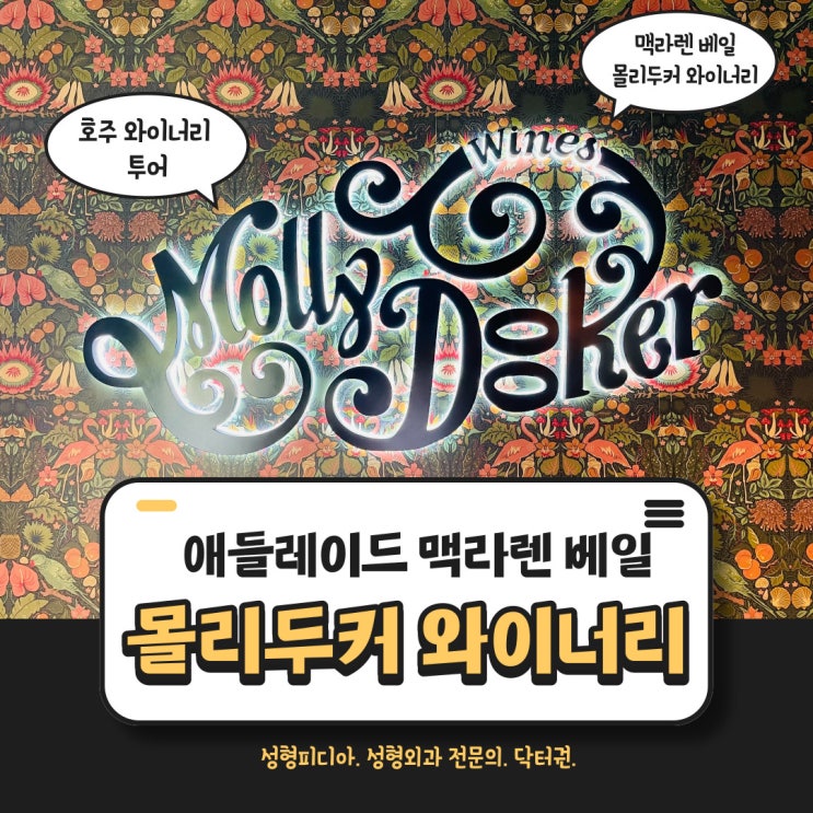  [호주] 몰리두커 와이너리 투어 (Mollydooker 와인, 애들레이드, 맥라렌 베일, 바로사벨리 와이너리 투어)