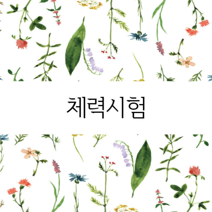  체력검사의 모든것