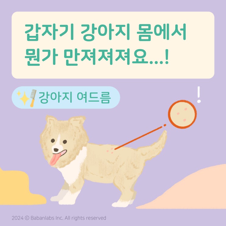  강아지여드름, 강아지 몸에서 뭔가 만져져요! 평택 강아지동물병원 괜찮아동물병원