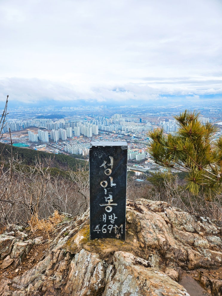  대구 경산 성암산 초보가능 최단코스 등산(경산시현충공원-성암산쉼터-성암봉)