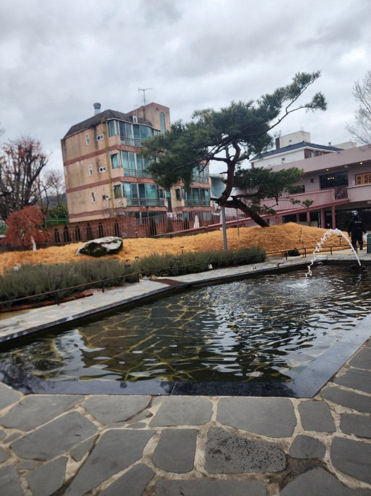  [대구/화원] 스테이블 모먼트 베이커리 카페