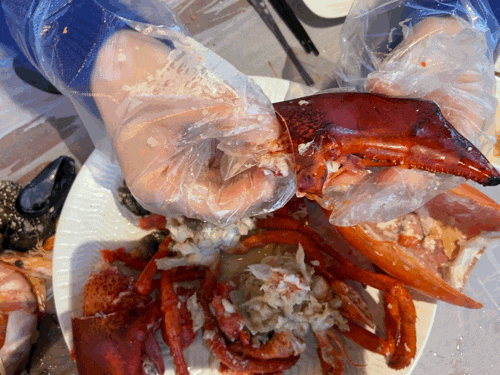  서귀포 맛집 랍씨네, 제주 바다의 향과 맛이 어우러진 공간