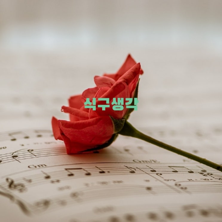 가사와 음악: 식구생각 김민기 작사작곡 양희은 노래 가사와 음악: 식구생각 김민기 작사작곡 양희은 노래