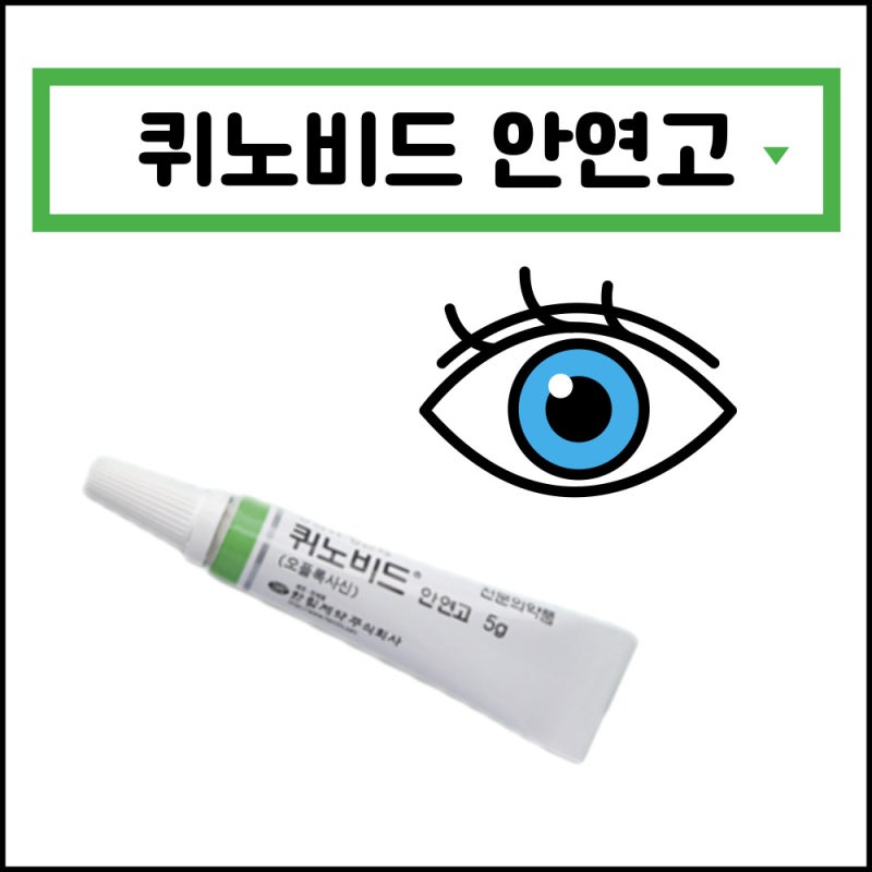 퀴노비드 안연고 바르는법 다래끼 사용법 한번에 정리