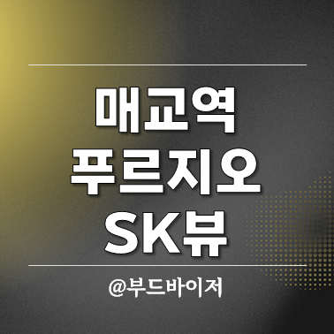  매교역 푸르지오 SK뷰 계약취소 무순위 특별공급 분양가 비교