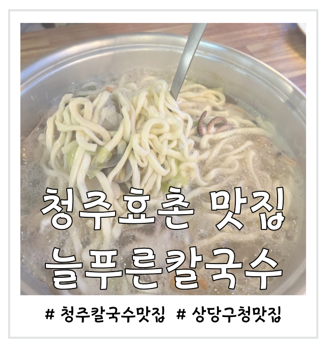  효촌 가성비 맛집 늘푸른 칼국수