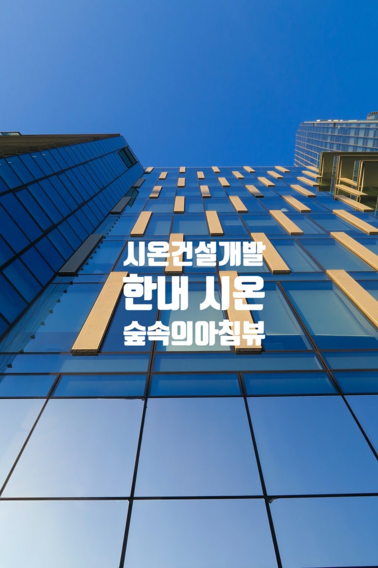  시온건설개발 기업정보 JOB팁 한내 시온 숲속의 아침뷰