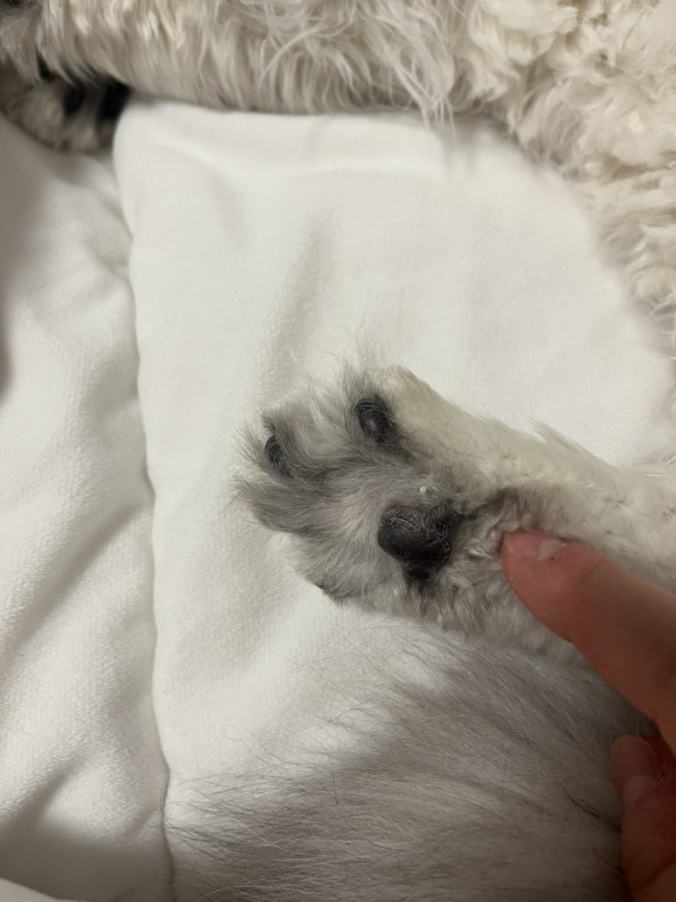 심심해서 써보는 50문50답