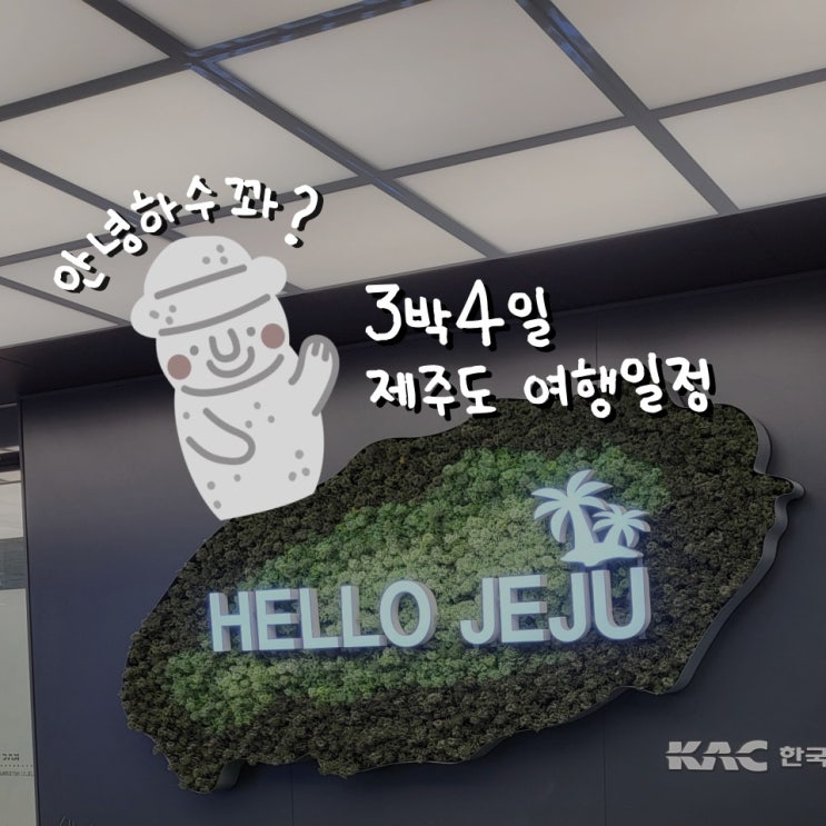  겨울의 제주도 3박 4일 여행일정 - 동문야시장