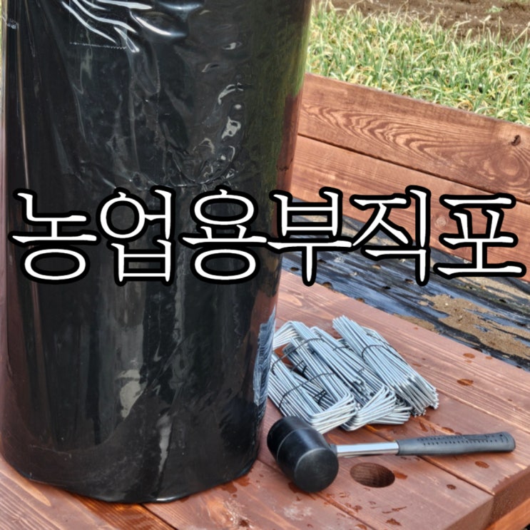  농린이 농사일기 잡초 방지 위해 농사용부직포 제일부직포 사용 후기