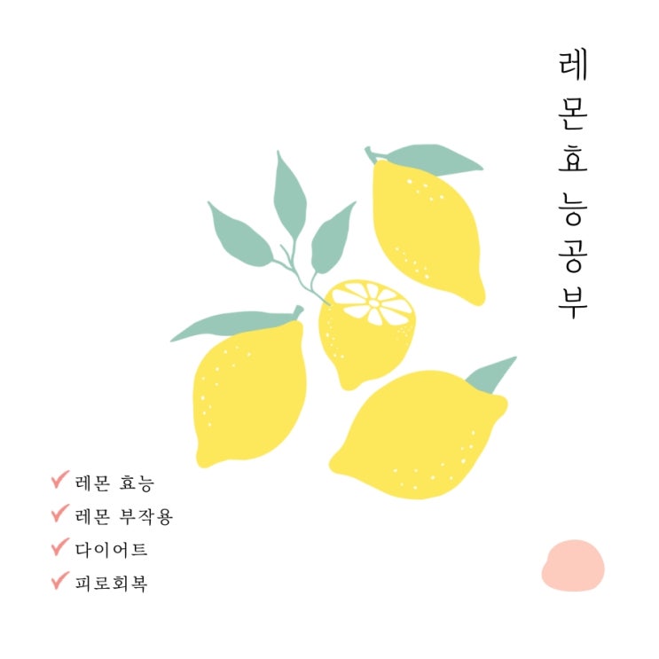  레몬 효능 공부하기 레몬물, 레몬차, 레몬청